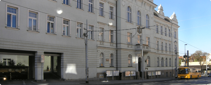Reference Image
