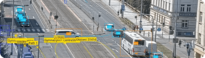 module image